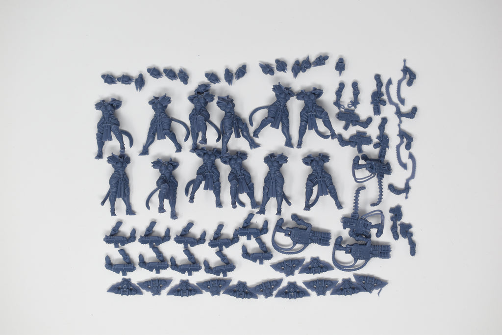 Space Nuns Bastet Nuns squad (12 models). 3D printed minis.