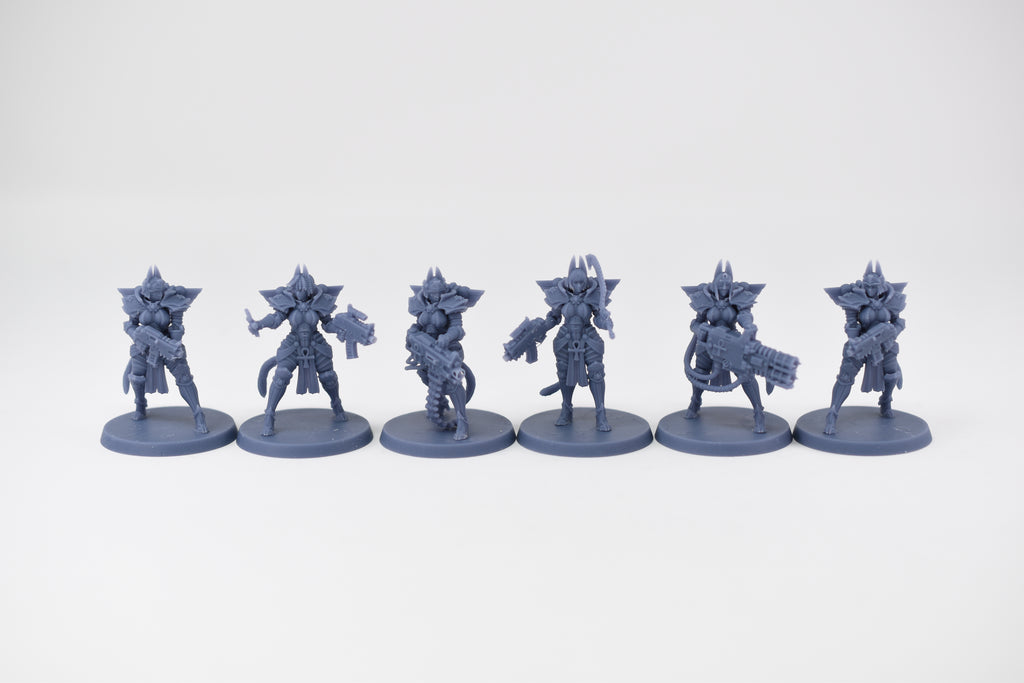 Space Nuns Bastet Nuns squad (12 models). 3D printed minis.