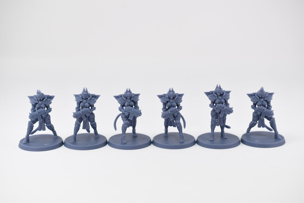 Space Nuns Bastet Nuns squad (12 models). 3D printed minis.