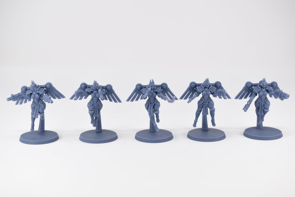 Space Nuns Bastet Seraphim squad (10 models). 3D printed minis.