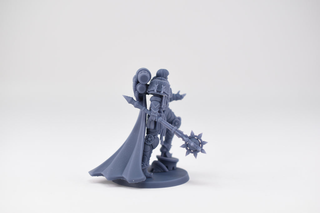 Matriarch Lady Aurelia 3. 3D printed mini.