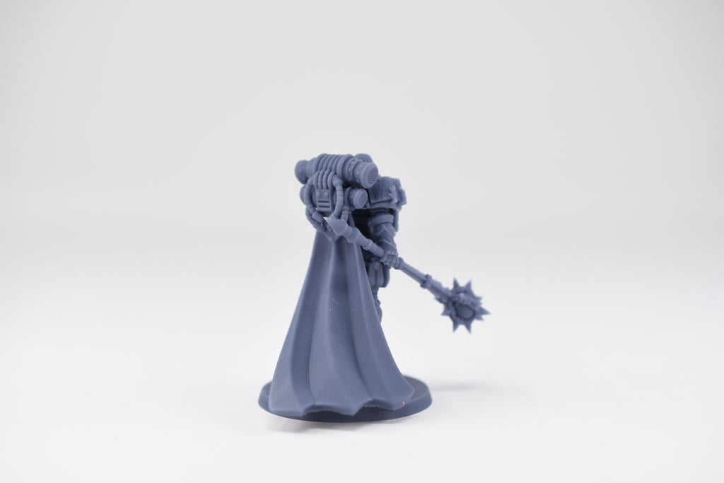 Matriarch Lady Aurelia 3. 3D printed mini.