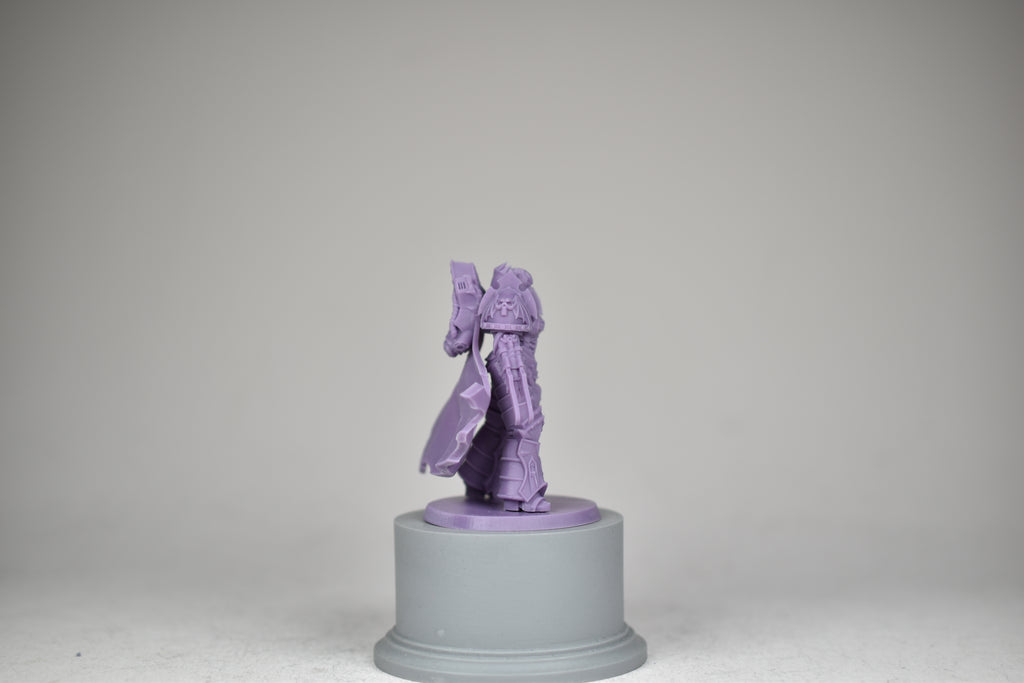 Matriarch Lady Kurze. 3D printed mini.