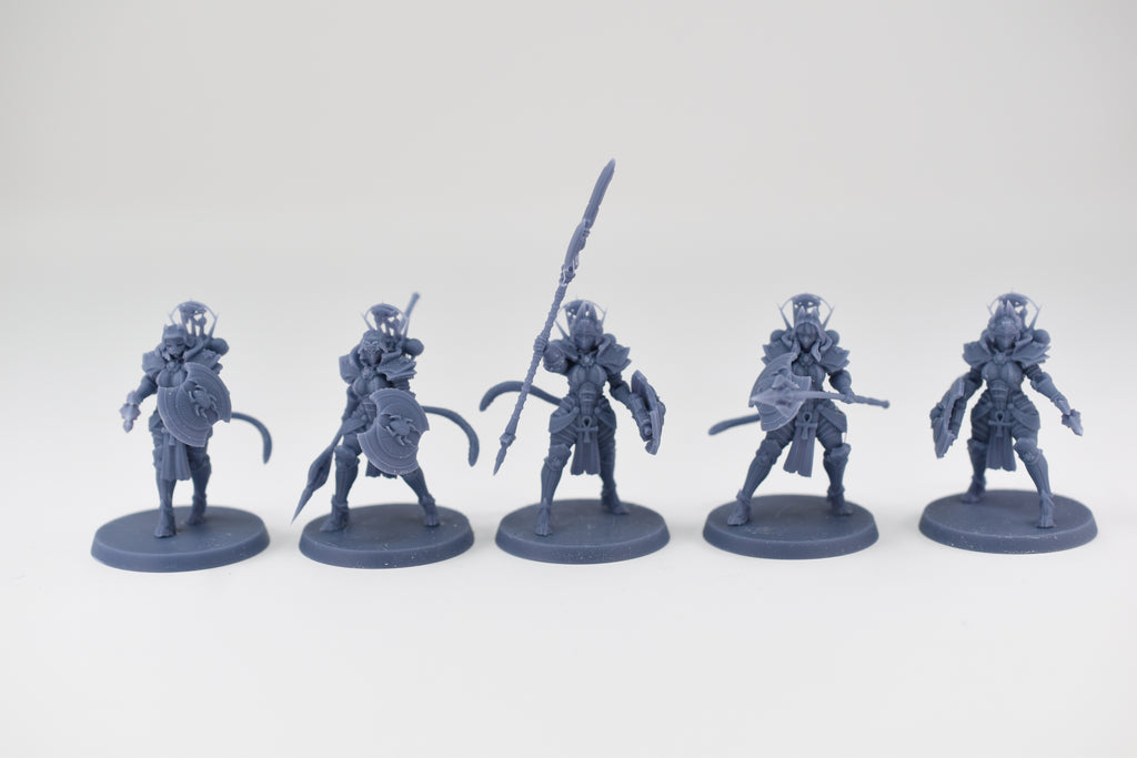 Space Nuns Bastet Sacresants squad (10 models). 3D printed minis.