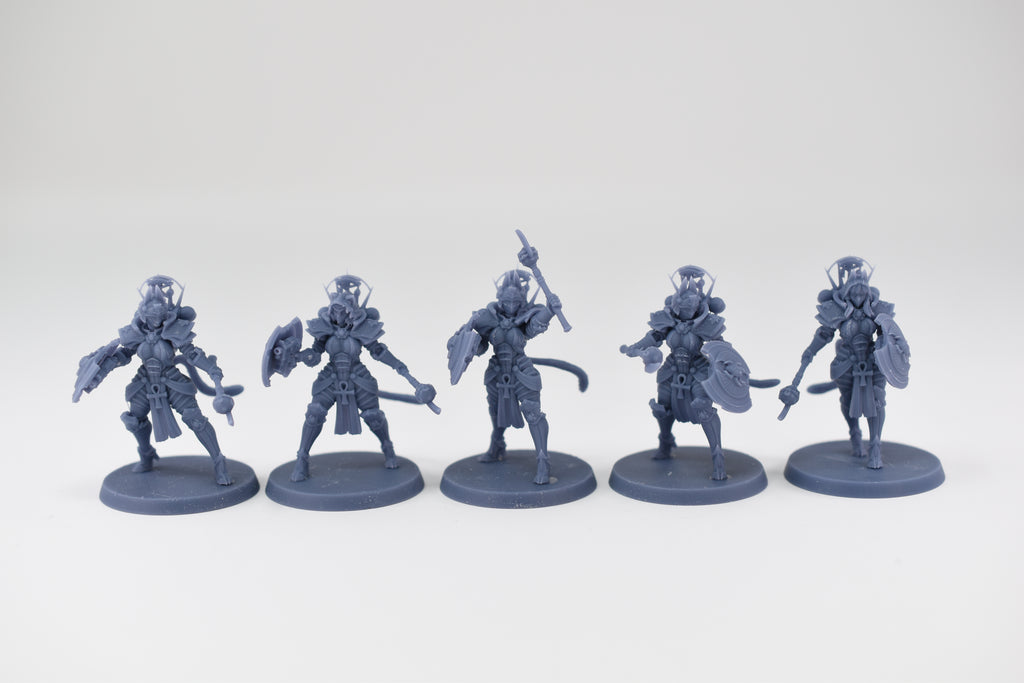 Space Nuns Bastet Sacresants squad (10 models). 3D printed minis.