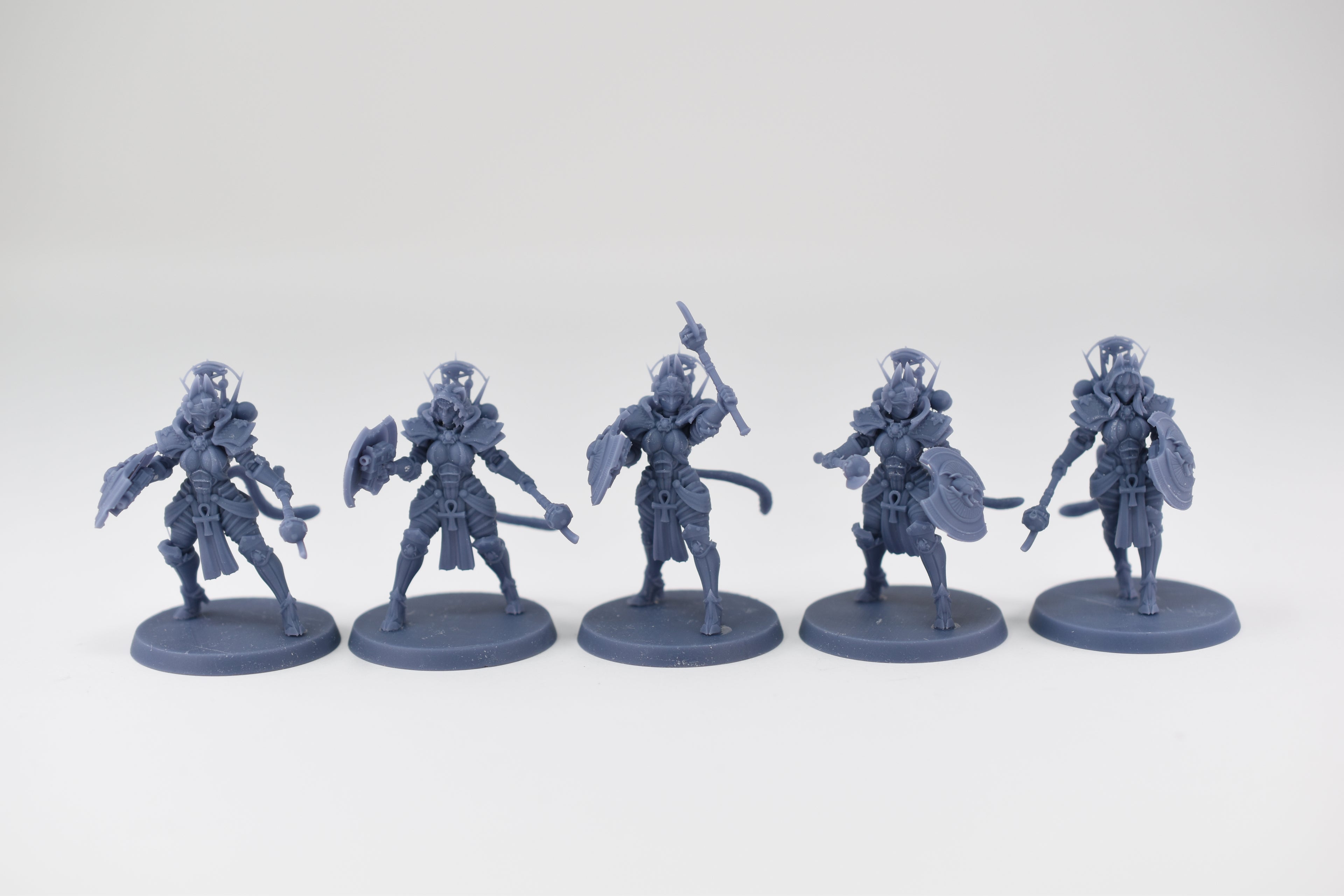 Space Nuns Bastet Sacresants squad (10 models). 3D printed minis.