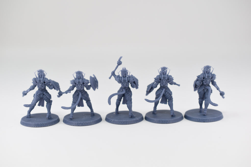 Space Nuns Bastet Sacresants squad (10 models). 3D printed minis.