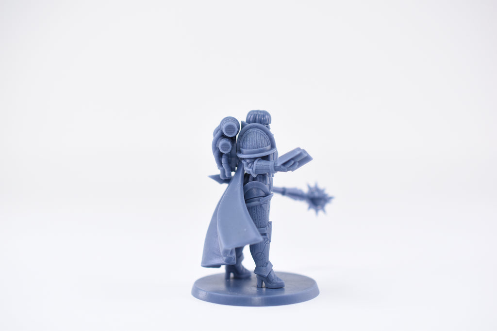 Matriarch Lady Aurelia 2. 3D printed mini.