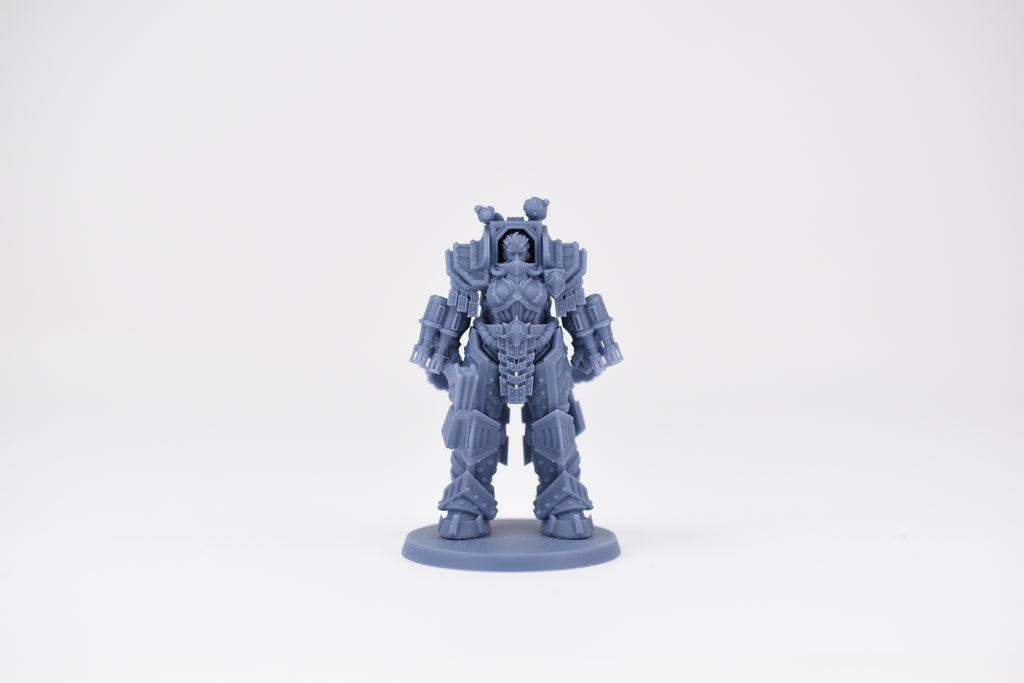 Matriarch Lady Petra. 3D printed mini.