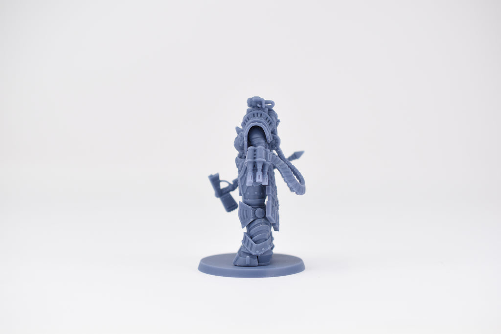 Matriarch Lady Petra. 3D printed mini.