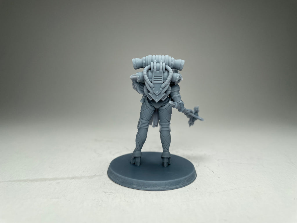 Matriarch Lady Aurelia. 3D printed mini.