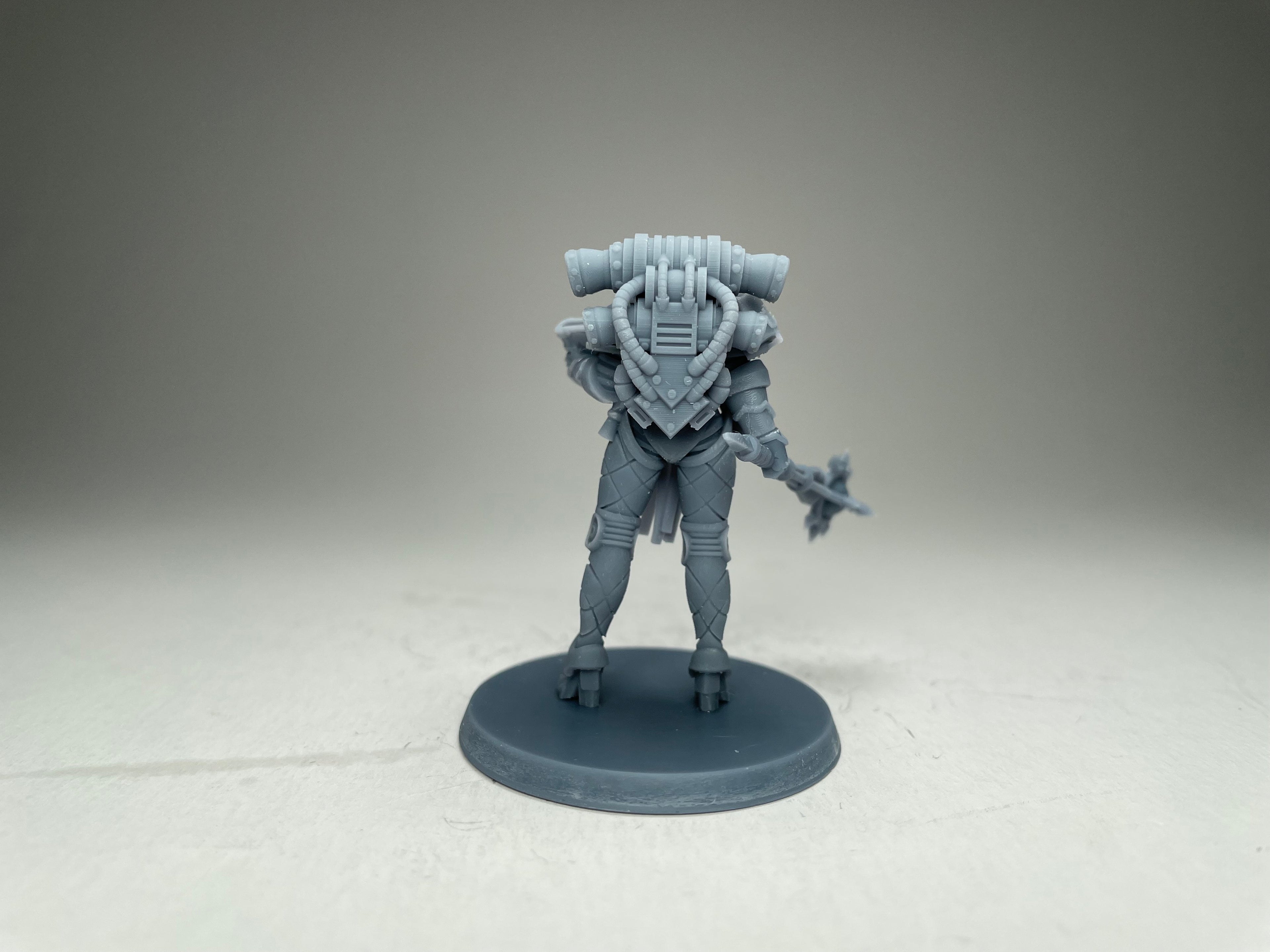 Matriarch Lady Aurelia. 3D printed mini.