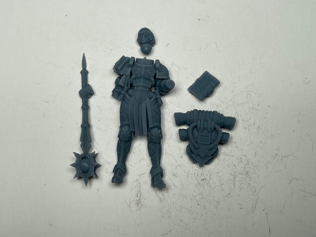 Matriarch Lady Aurelia. 3D printed mini.