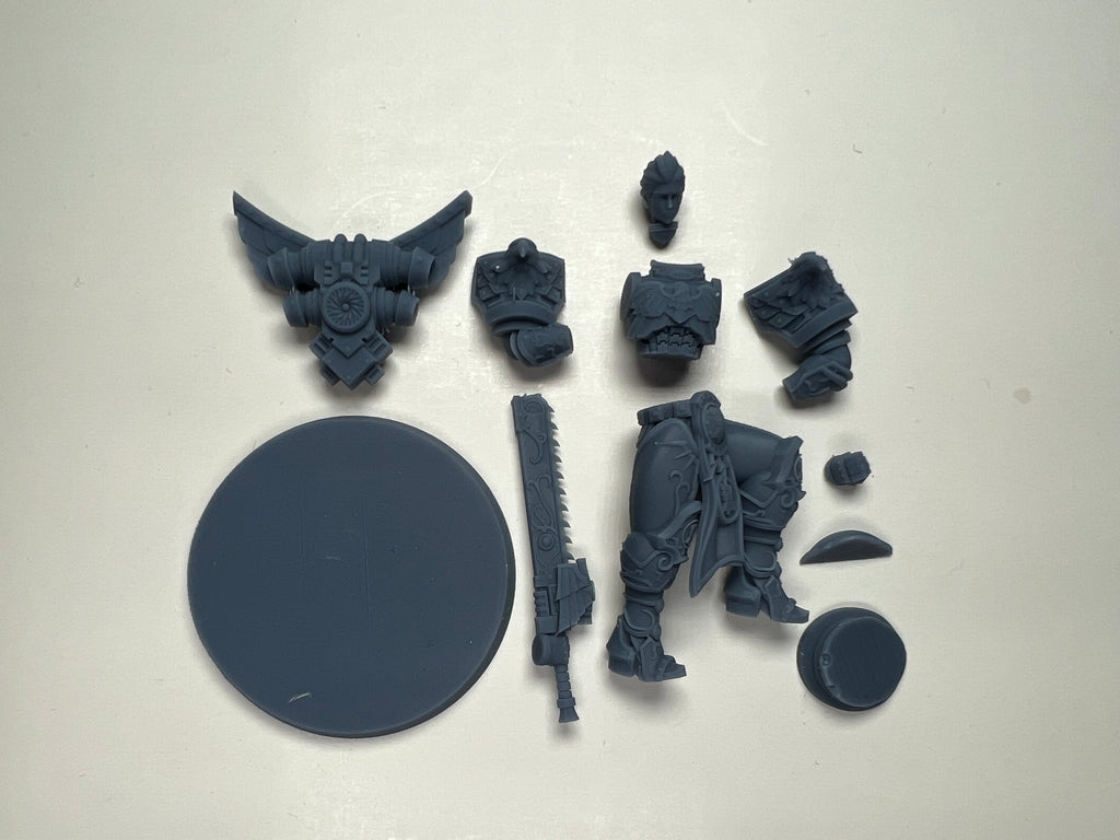 Matriarch Lady Dorn. 3D printed mini.