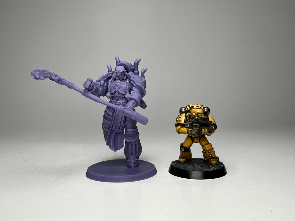 Matriarch Lady Morrigan. 3D printed mini.