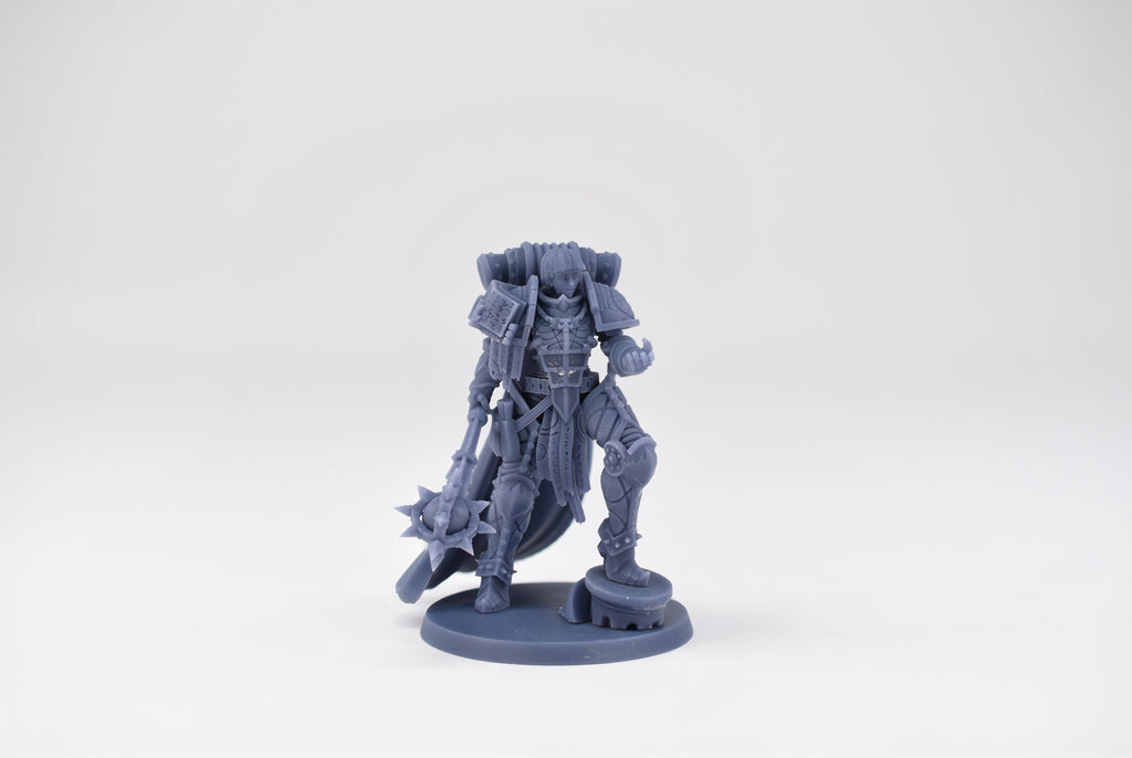 Matriarch Lady Aurelia 3. 3D printed mini.